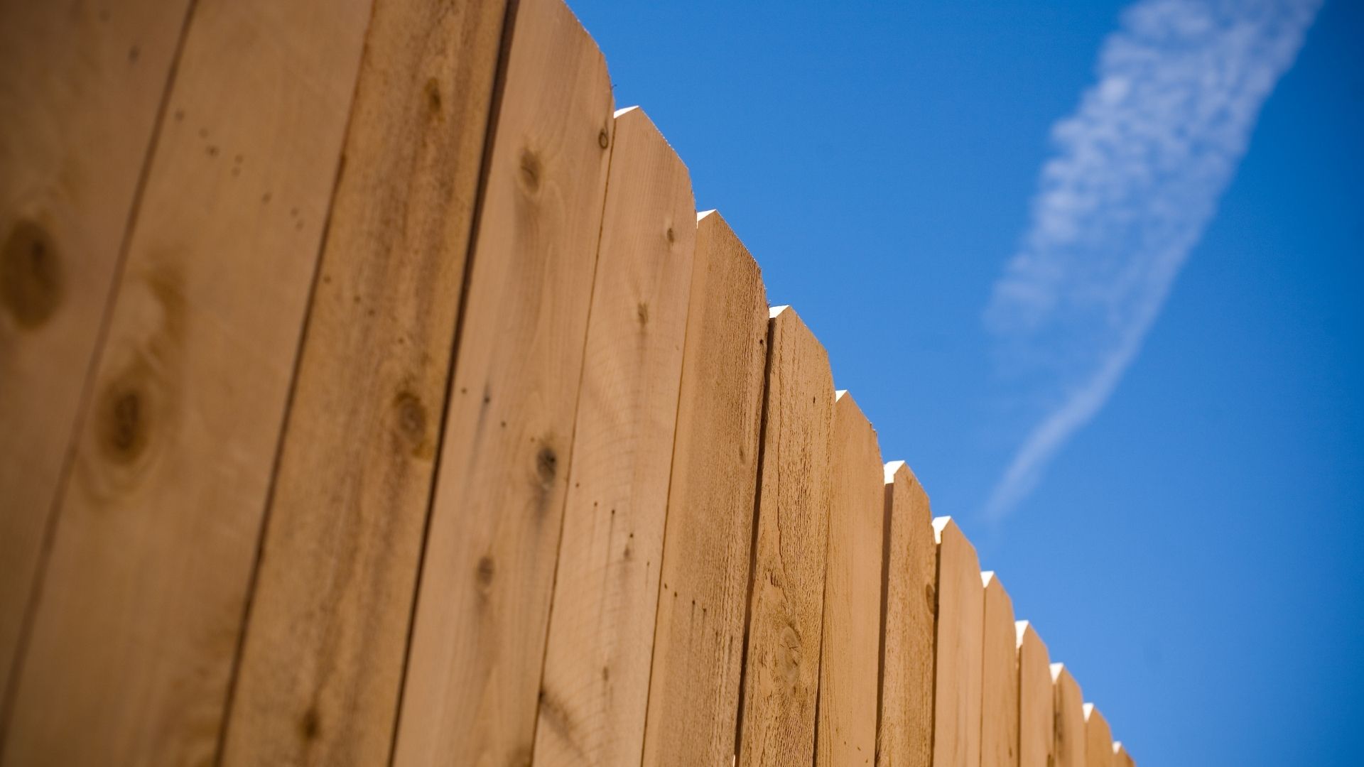 Premium Wood Fencing