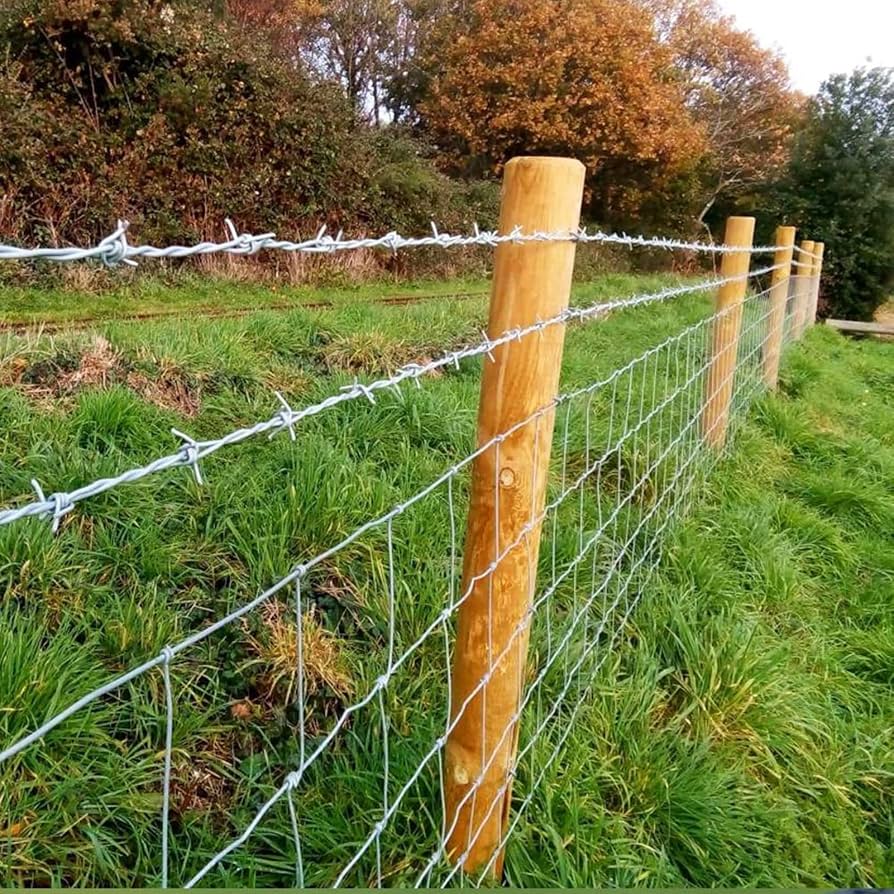 Ranch Barbed Wire Fencing